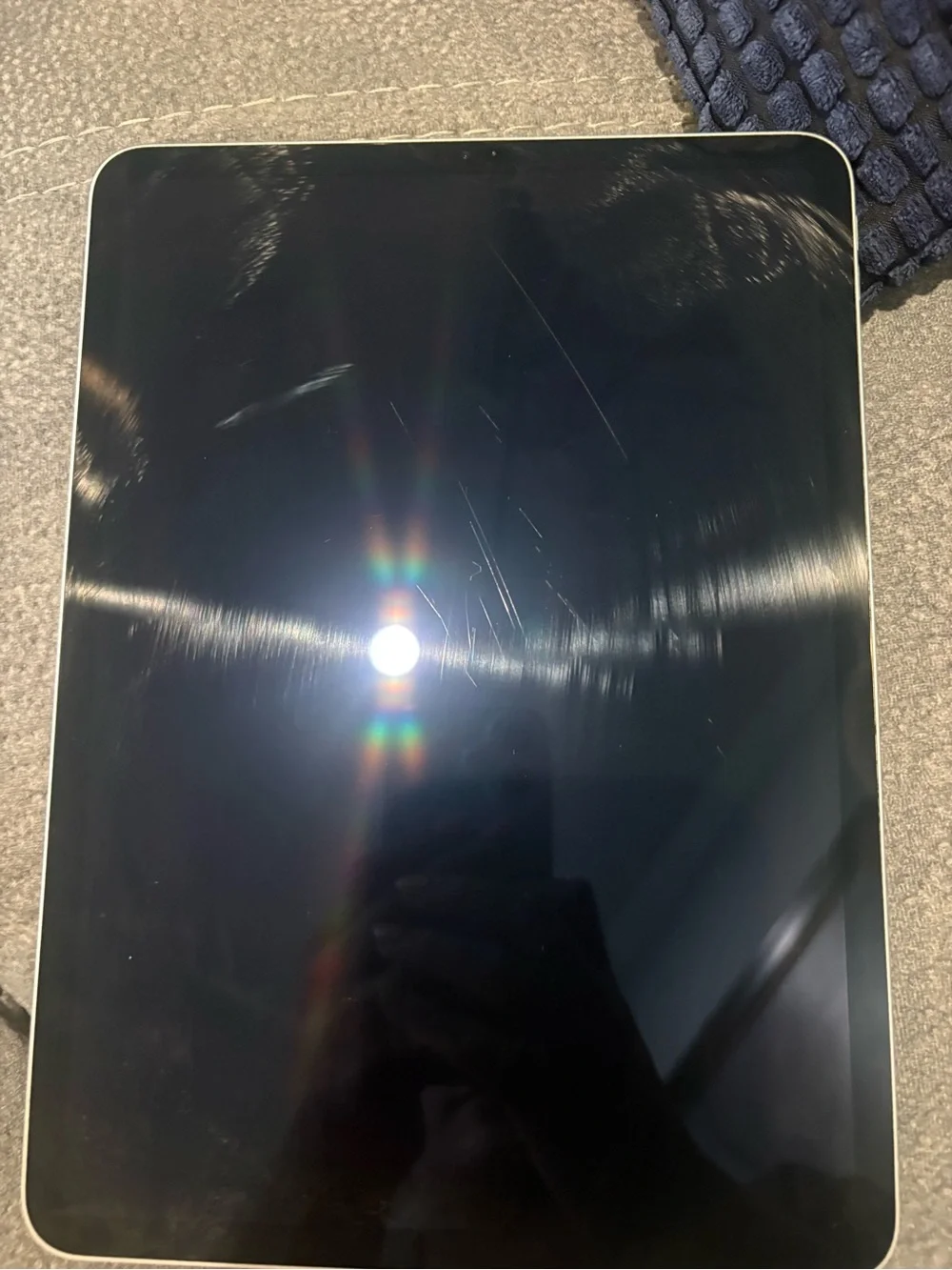 Apple iPad - Silver Back Panel